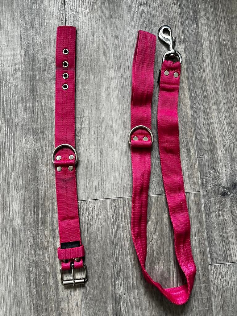 Halsband en lijn 4 cm breed, Ophalen of Verzenden, Zo goed als nieuw