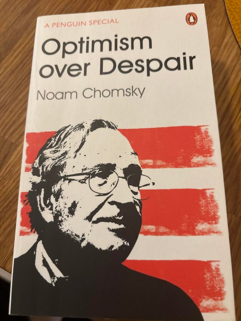 Optimism over Despair - Noam Chomsky, Boeken, Ophalen of Verzenden, Zo goed als nieuw