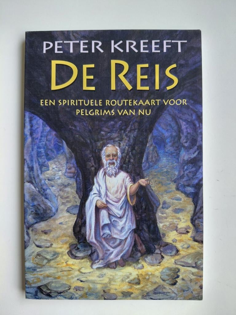 P. Kreeft - De reis, Ophalen of Verzenden, Zo goed als nieuw, P. Kreeft
