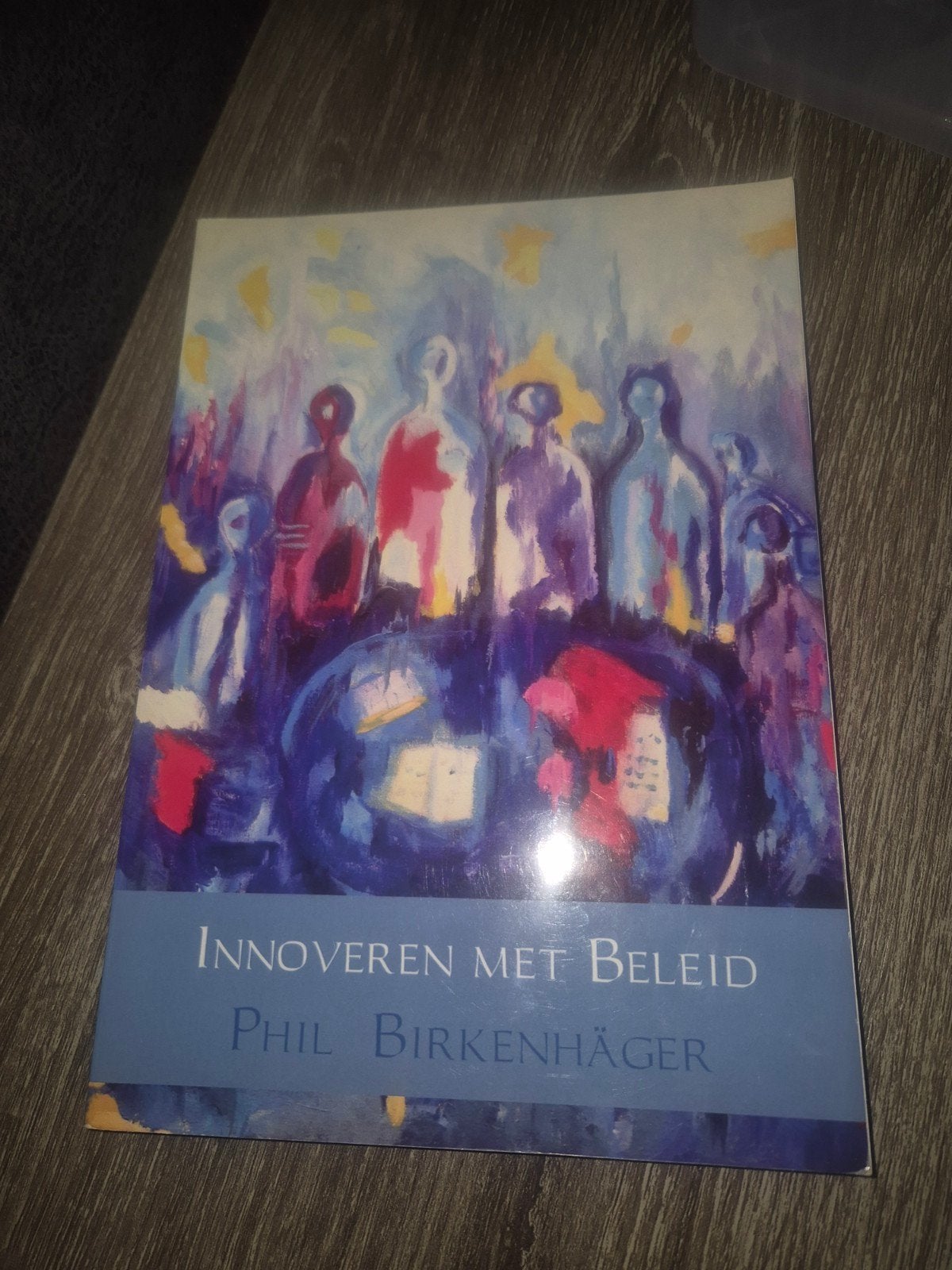 Innoveren met Beleid - Phil Birkenhäger, Ophalen of Verzenden, Zo goed als nieuw, Phil Birkenhäger, Nederland