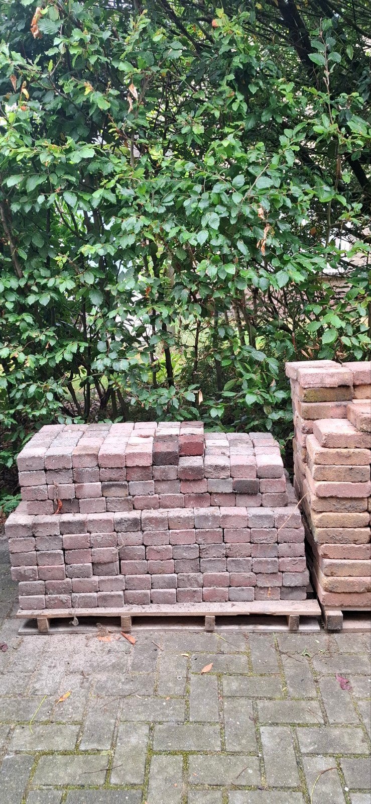 gratis Stenen 10x10 cm - Gebruikte klinkers voor tuin of opr, Ophalen, Gebruikt, Minder dan 5 m², Beton