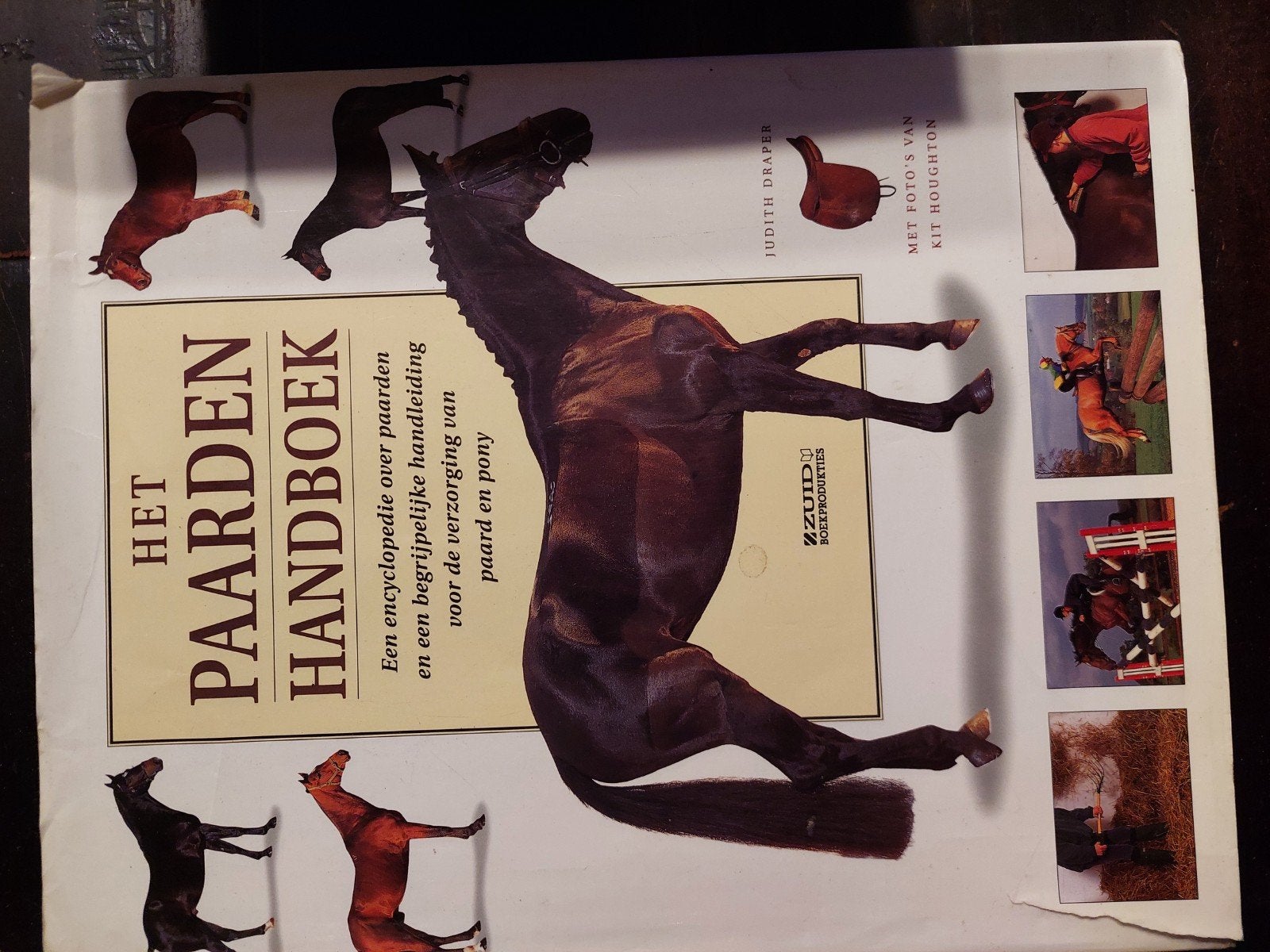Het Paarden Handboek: Encyclopedie & Verzorgingsgids, Ophalen of Verzenden, Gelezen, Paarden of Pony's, Judith Draper