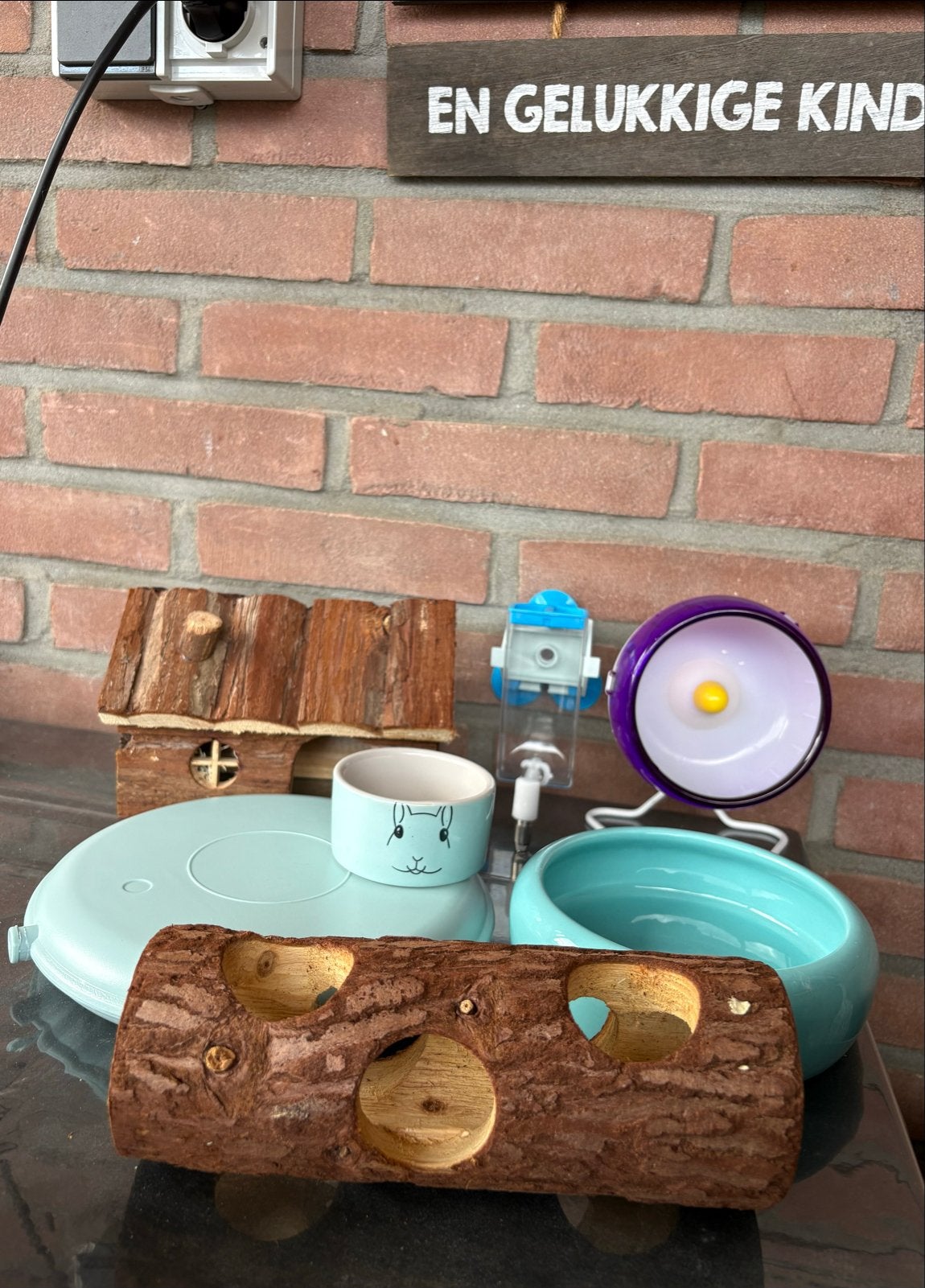 Hamster accessoires, Dieren en Toebehoren, Ophalen, Gebruikt