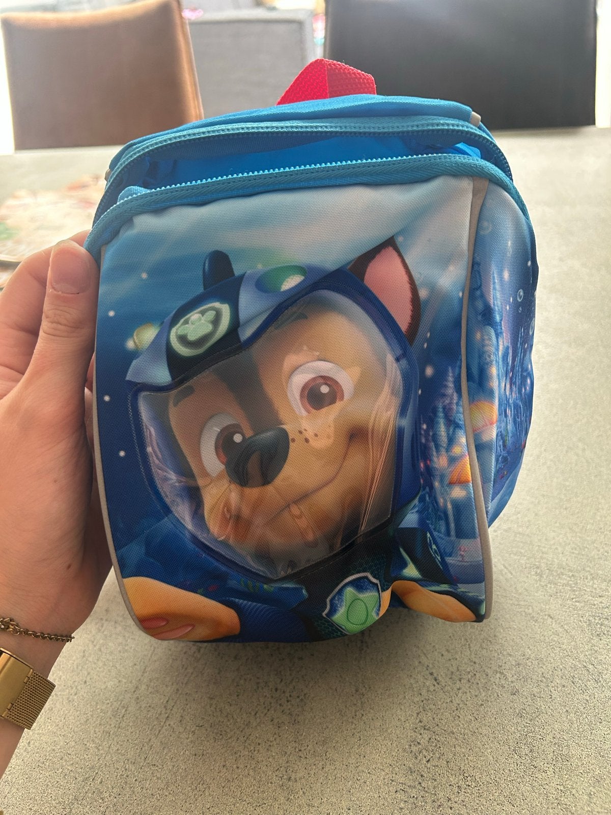 Paw Patrol rugzakje, Minder dan 30 cm, Disney of Dora, Nieuw, Ophalen of Verzenden