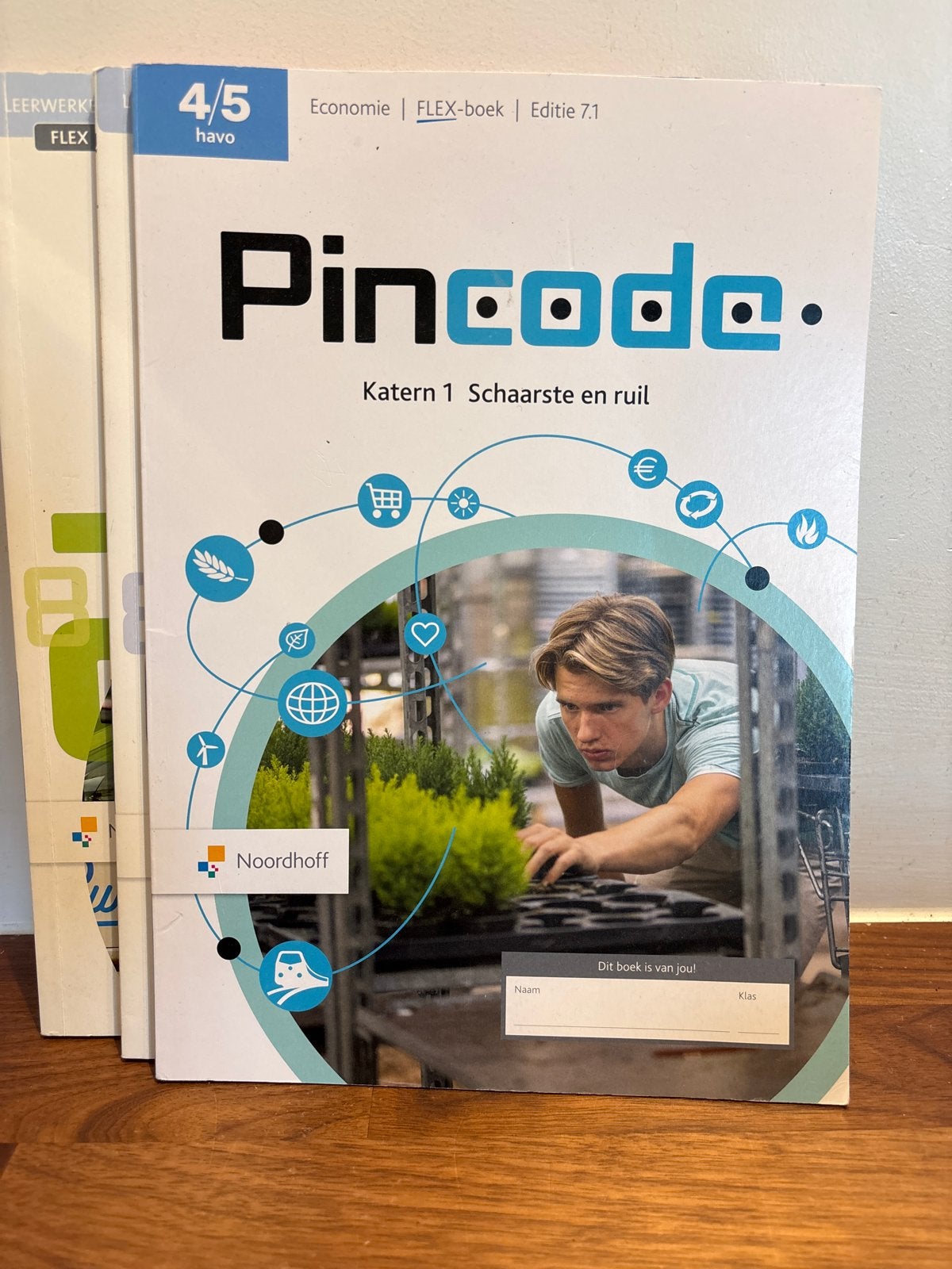 Pincode Economie FLEX-boek 4/5 havo Editie 7.1, Boeken, Ophalen of Verzenden, Zo goed als nieuw, HAVO, Economie