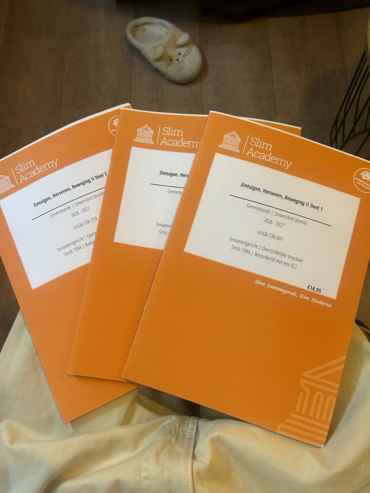 Slim Academy Samenvattingen Geneeskunde Utrecht, Boeken, Ophalen of Verzenden, Beta, Zo goed als nieuw, WO