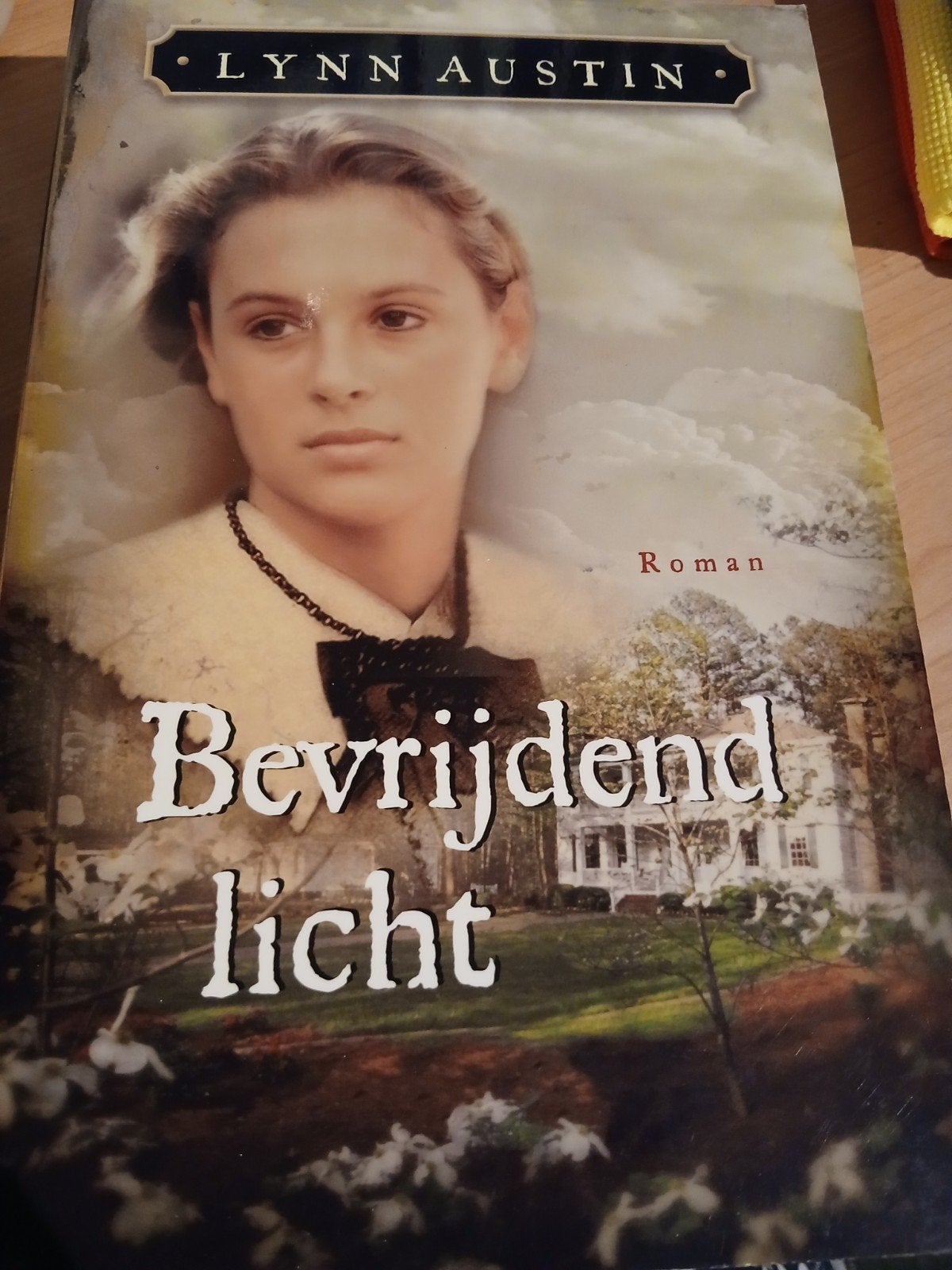 Bevrijdend Licht - Lynn Austin (Roman), Ophalen of Verzenden, Zo goed als nieuw, Lynn Austin, Nederland