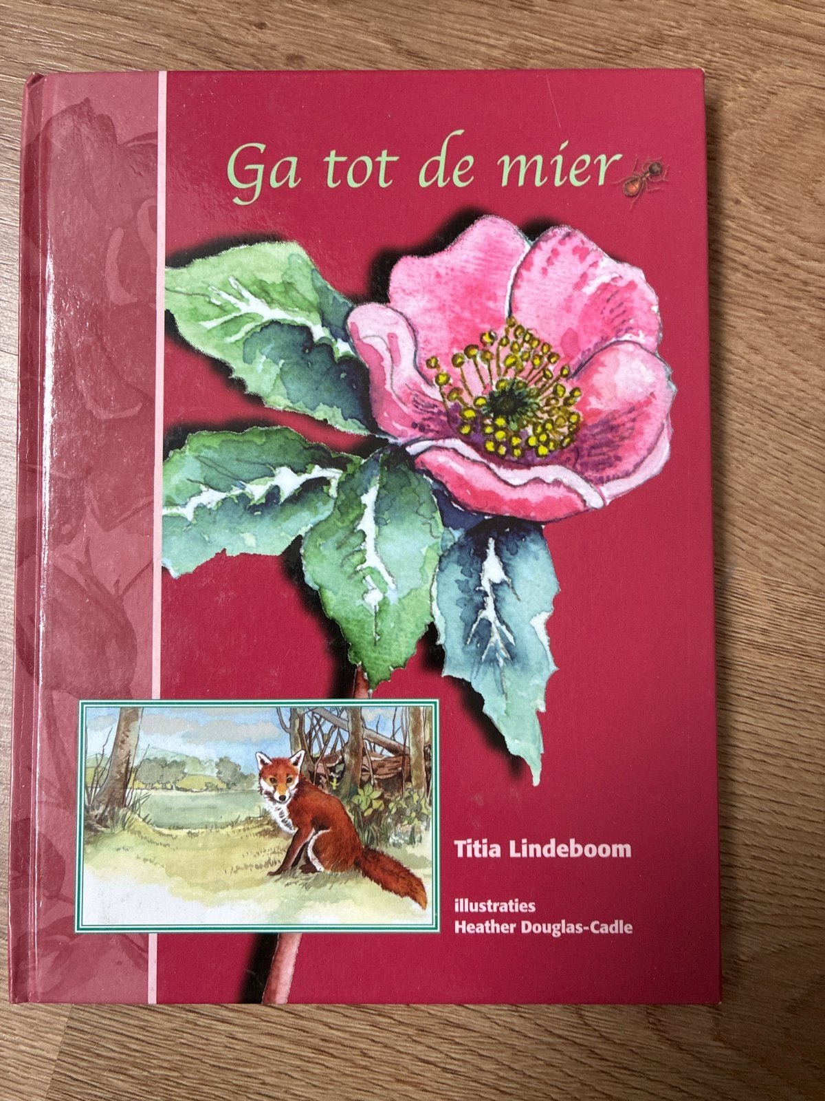 Ga tot de mier - Titia Lindeboom (Hardcover), Ophalen, Zo goed als nieuw, Non-fictie
