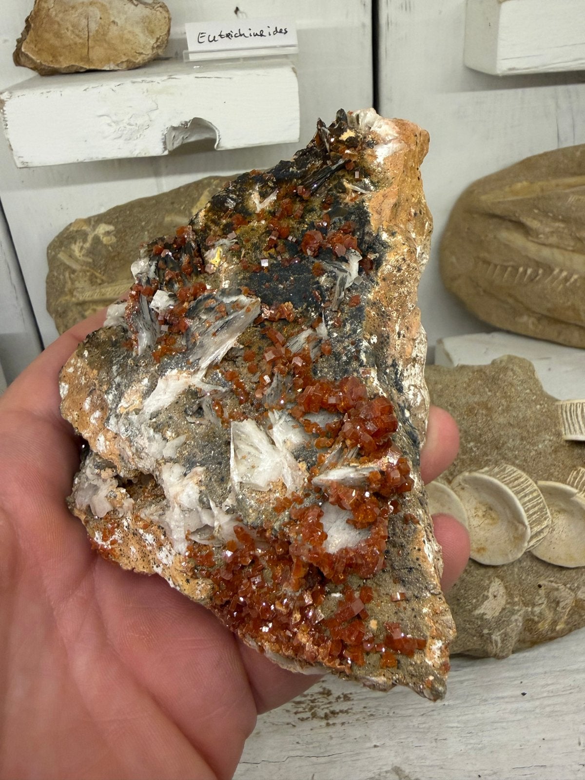 Prachtige Vanadiniet en Baryt, Verzamelen, Ophalen of Verzenden, Mineraal