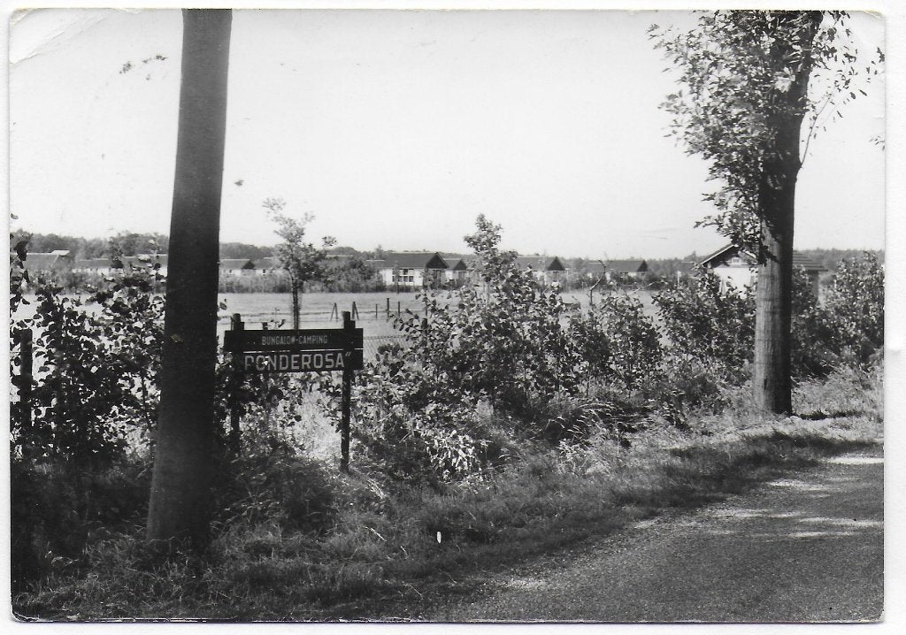 Voorthuizen Bungalow - Camping Ponderosa Ansichtkaart B4316, Ophalen of Verzenden, 1980 tot heden, Gelopen