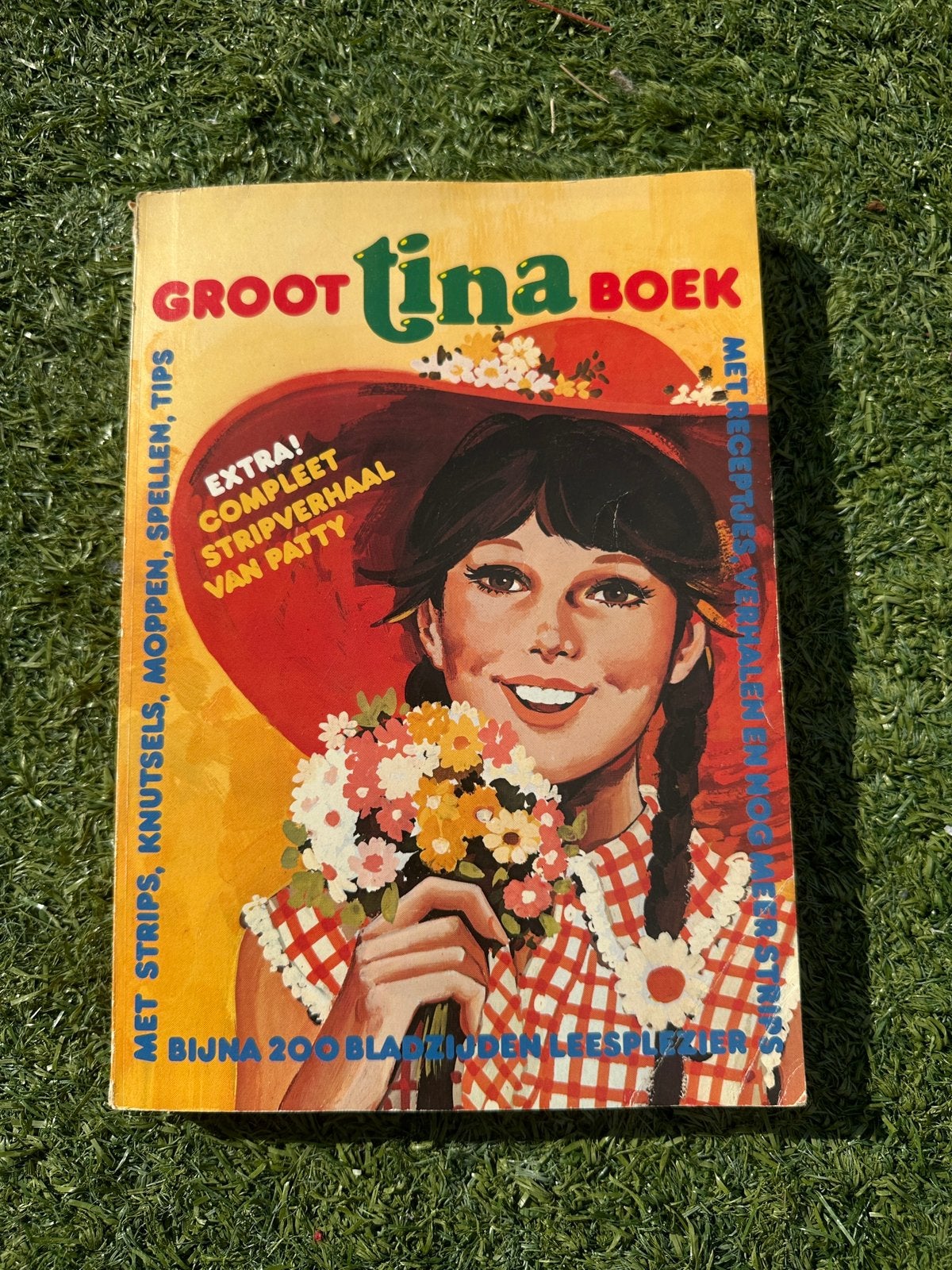 Groot Tina Boek, speciale uitgave/album, Ophalen, Gelezen, Nederland