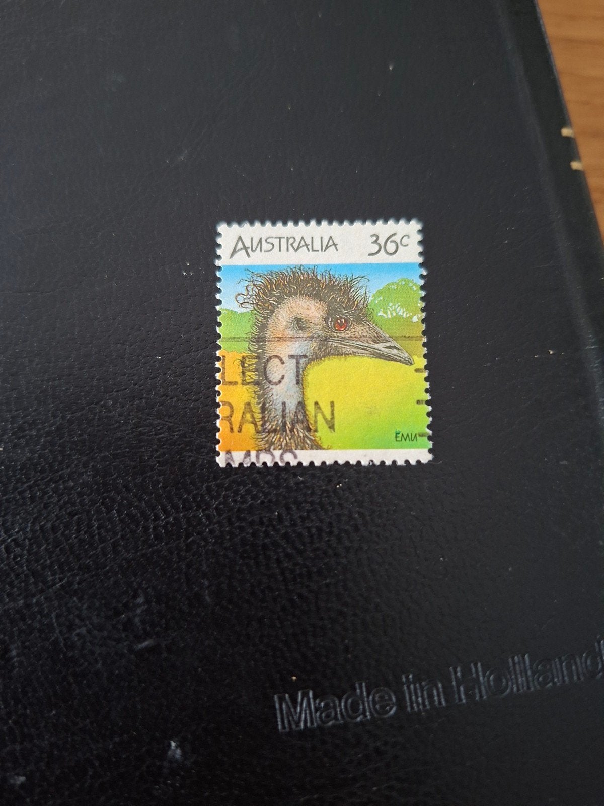 Australië.  Emoe, Ophalen of Verzenden, Dier of Natuur