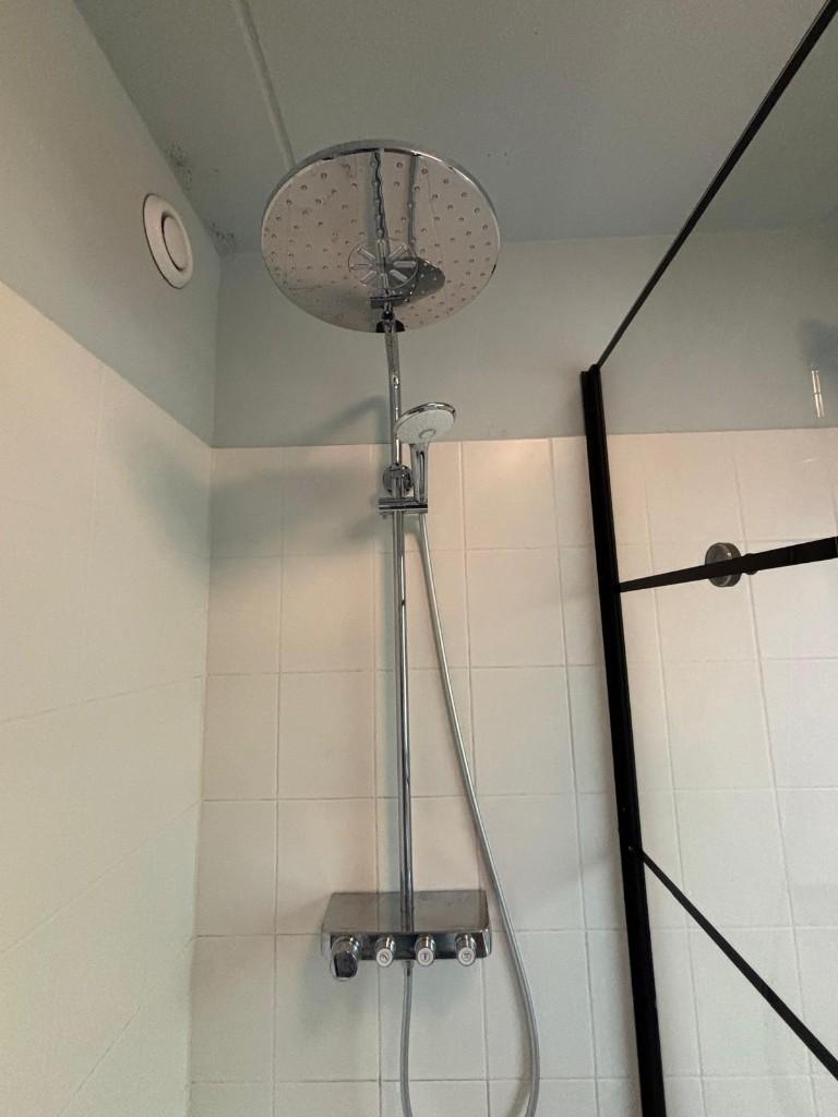 GROHE Euphoria / Rainshower Smartcontrol 310 duo regendouche, Ophalen, Gebruikt, Chroom, Douche