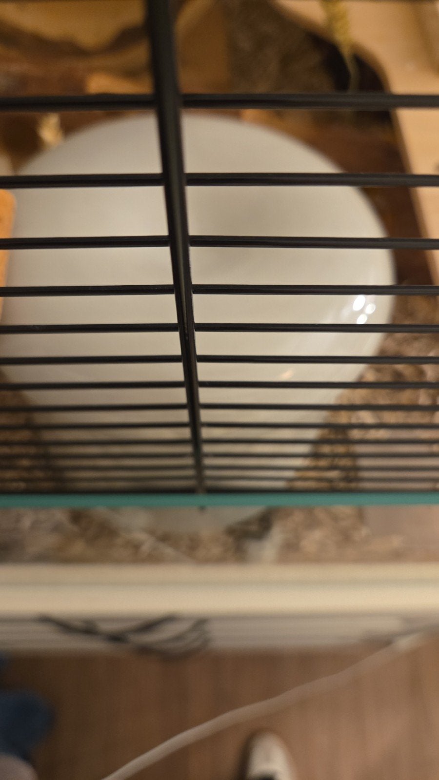 knaagdierenkooi (hamster, rat), Ophalen of Verzenden, Zo goed als nieuw, Loopwiel of Rad
