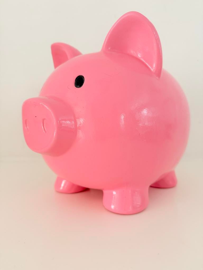 Roze spaarvarken - Leuk voor kinderen en volwassenen, Verzamelen, Spaarpotten, Ophalen, Zo goed als nieuw, Overige materialen