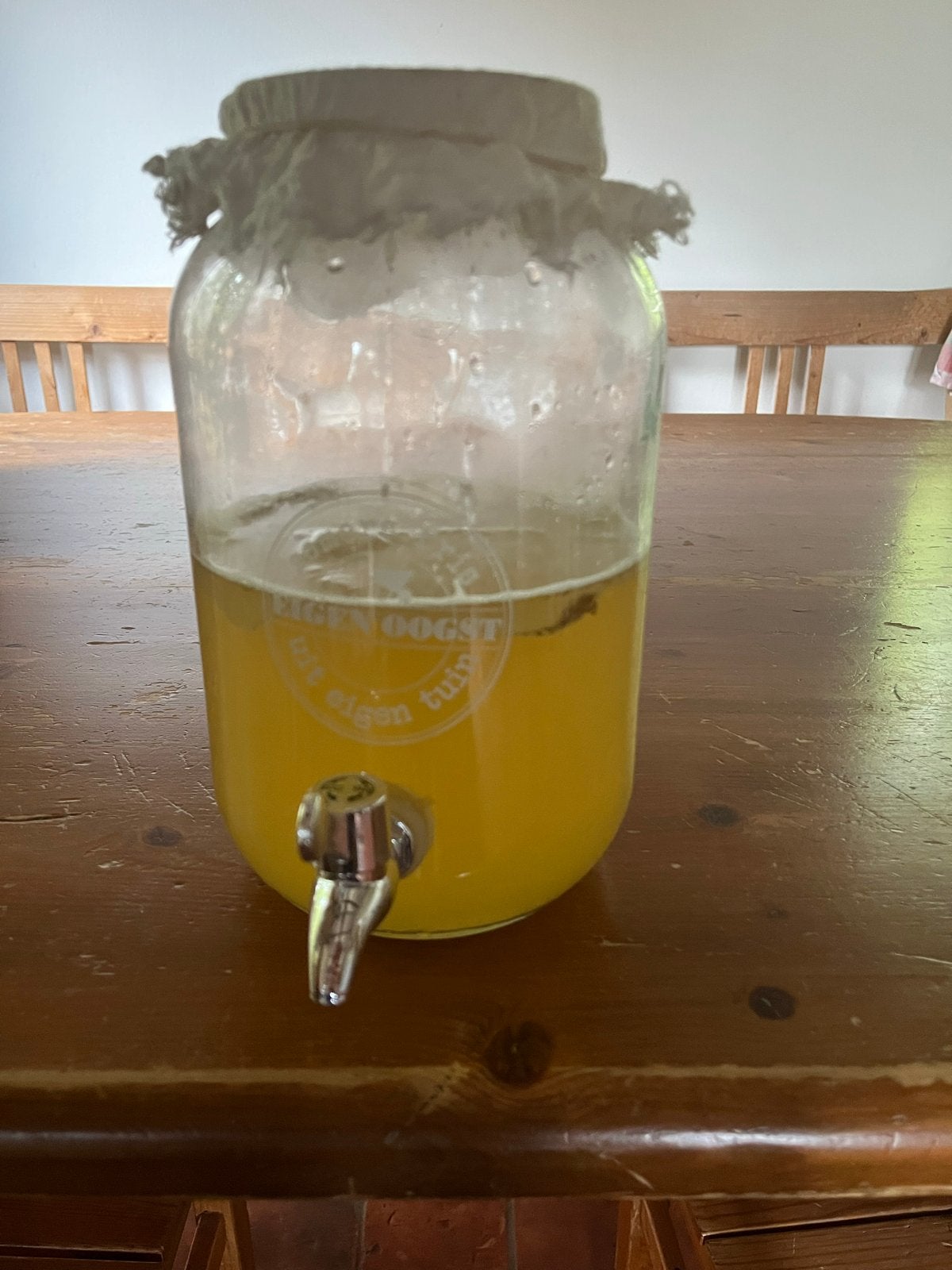 Kombucha SCOBY biologisch, Beige, Ophalen of Verzenden, Overige materialen, Overige merken