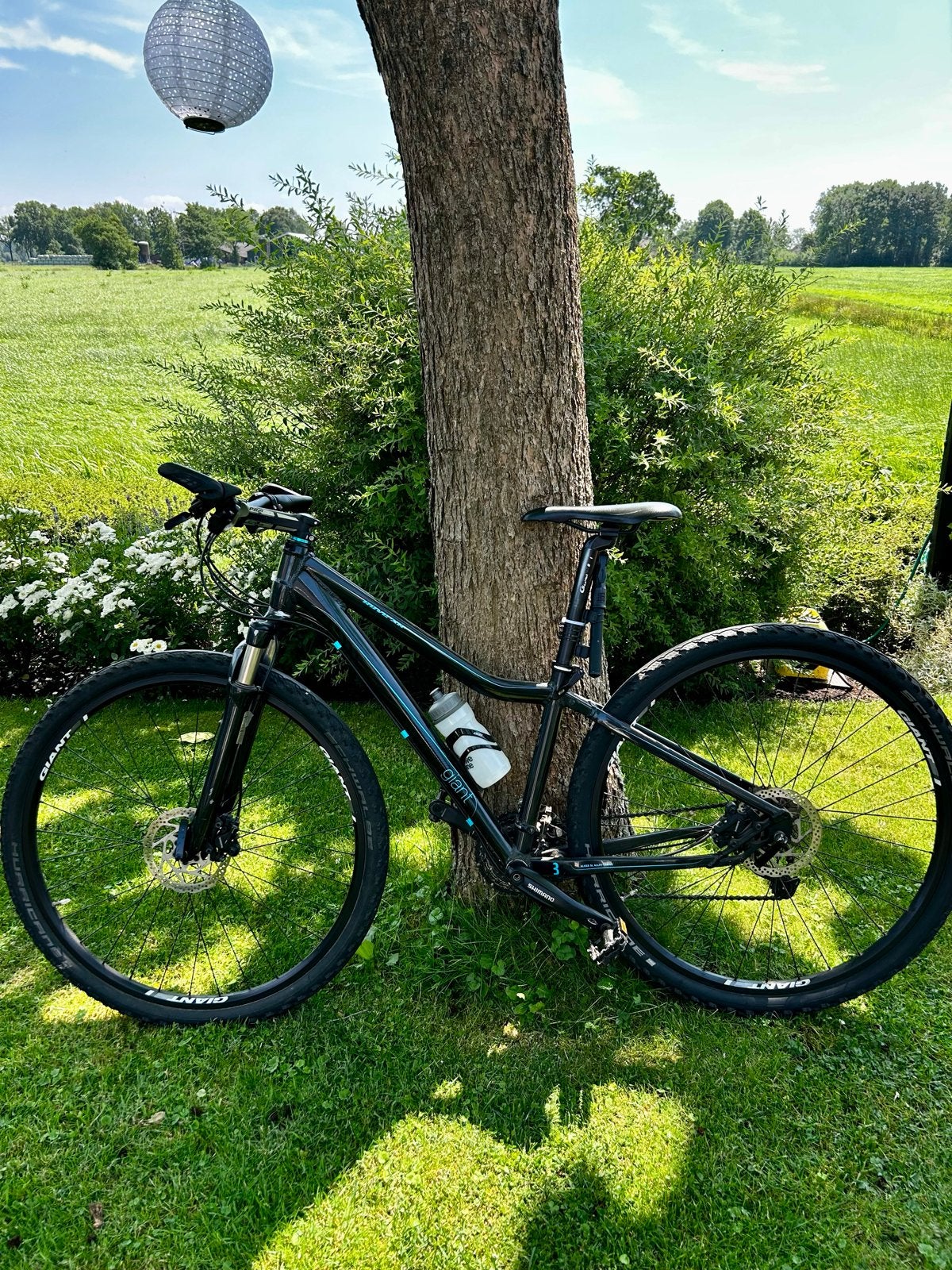 Giant ROVE XR, Ophalen, 28 inch, Giant, Zo goed als nieuw