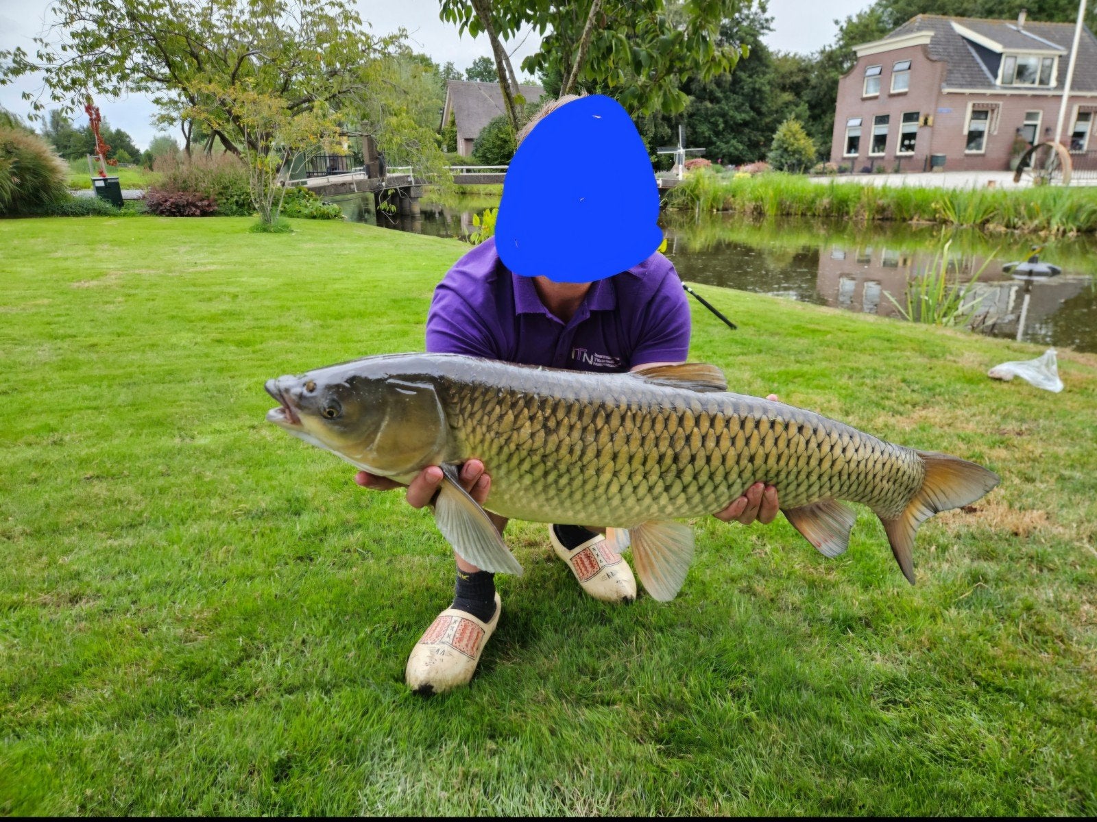 Grote graskarpers, Dieren en Toebehoren, Vissen | Vijvervissen, Karper of Koi
