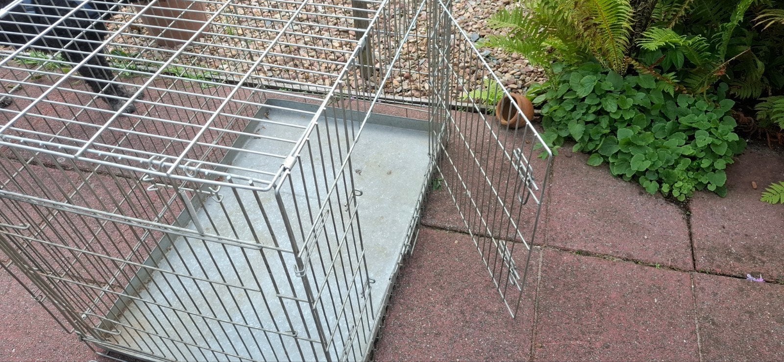 grote honden bench, Ophalen, Gebruikt