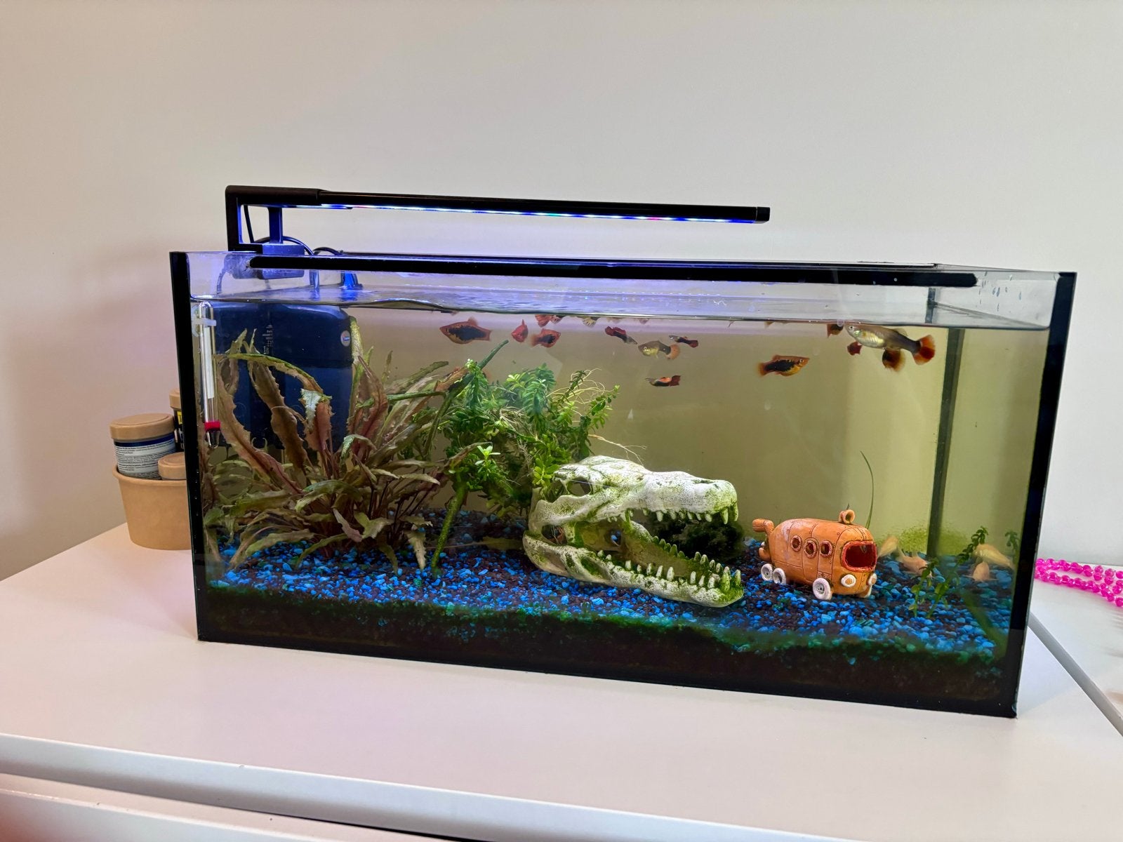 Compleet aquarium incl inhoud en toebehoren, Ophalen, Zo goed als nieuw, Gevuld zoetwateraquarium
