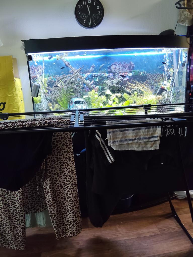 Aquarium te koop, Dieren en Toebehoren, Vissen | Aquaria en Toebehoren, Ophalen, Gevuld zoetwateraquarium