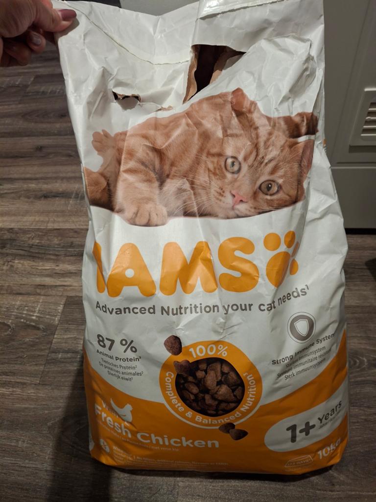 Iams kattenbrokken adult, Ophalen, Kat