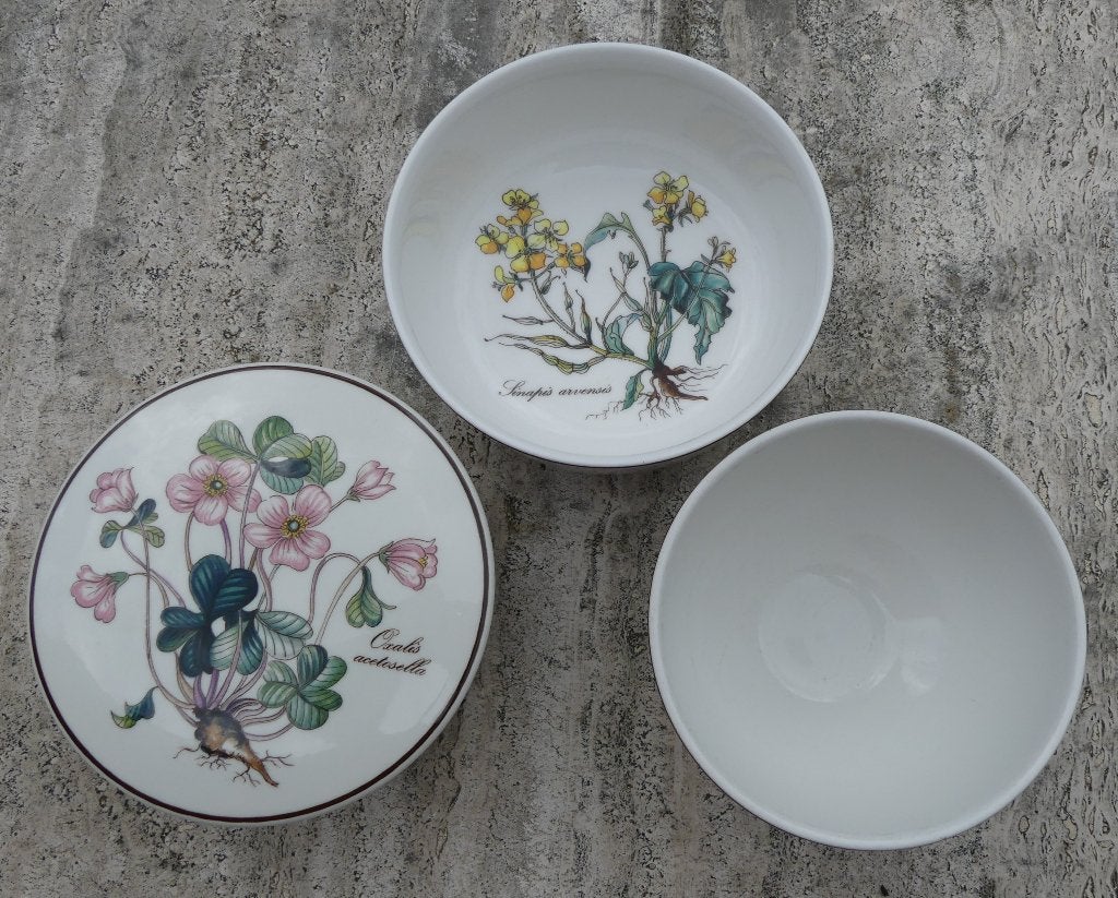 Set 4 nieuwe Villeroy & Boch Botanica Ovenschalen + Mokken, Klassiek, Villeroy & Boch, Nieuw, Ophalen of Verzenden