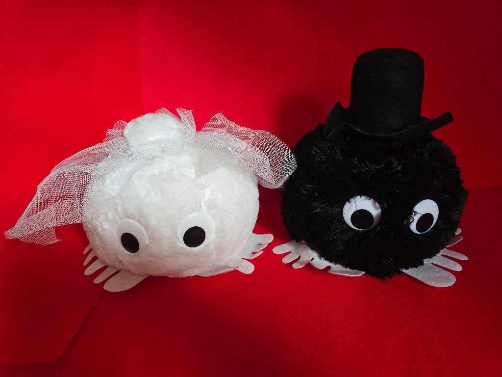 Trouwwuppies, Ophalen of Verzenden, Zo goed als nieuw, Wit, Accessoires