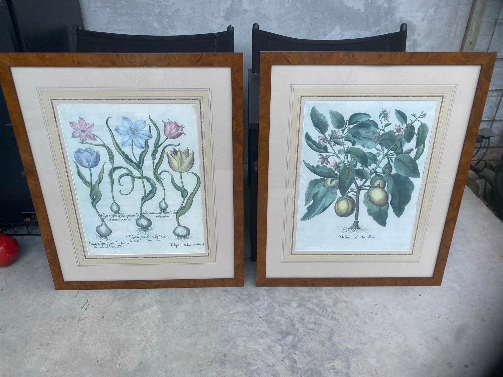 Set van 2 ingelijste botanische prenten, Ophalen, Ingelijst