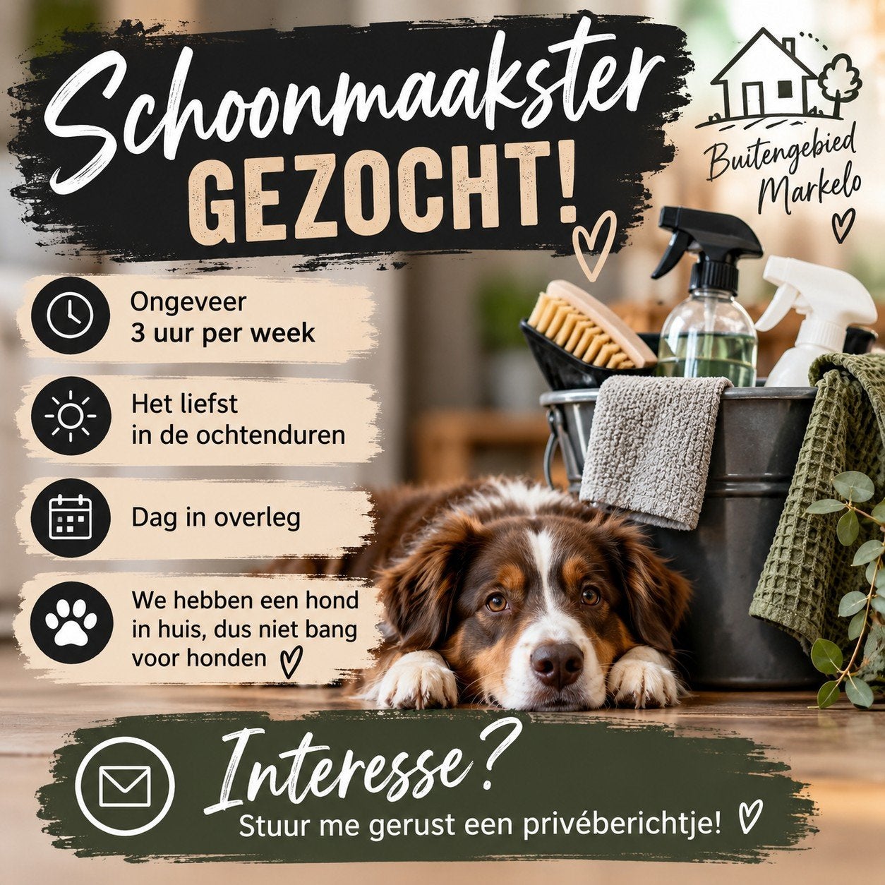 schoonmaakster gezocht, Overige niveaus, Overige vormen