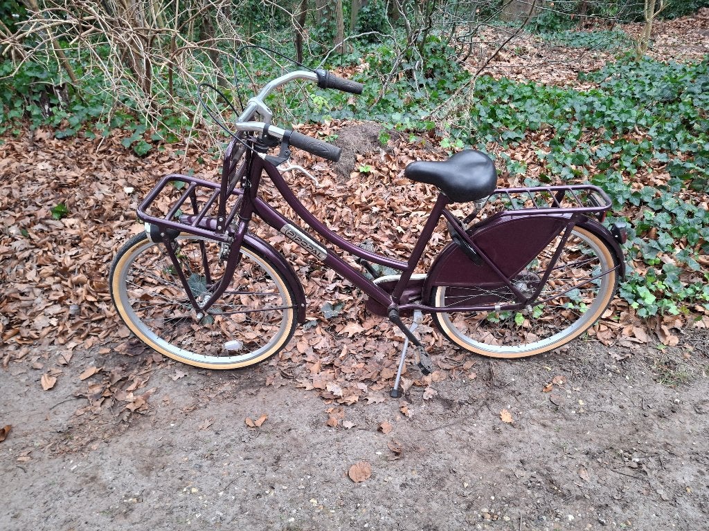 Dames fiets POPAL, Fietsen en Brommers, Fietsen | Dames | Damesfietsen, Terugtraprem, 47 tot 50 cm, Versnellingen, Nieuw