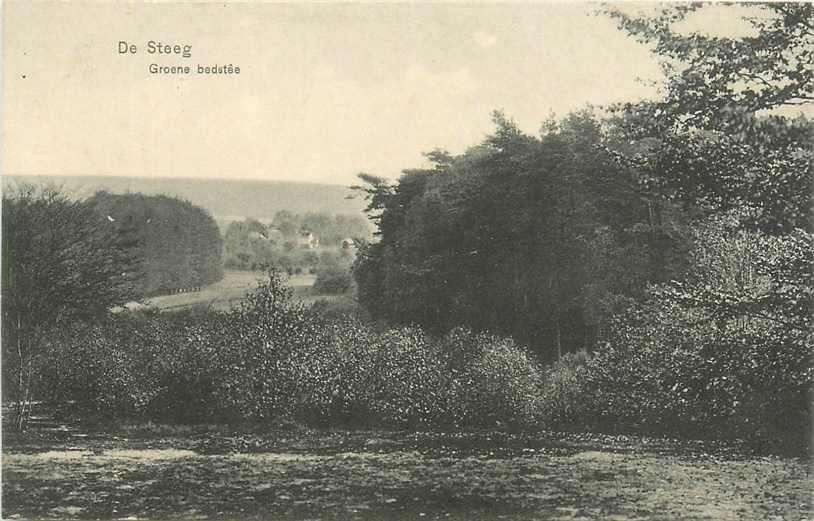 377-413-013 De Steeg Groene Bedstee, Verzenden, Voor 1920, Gelderland