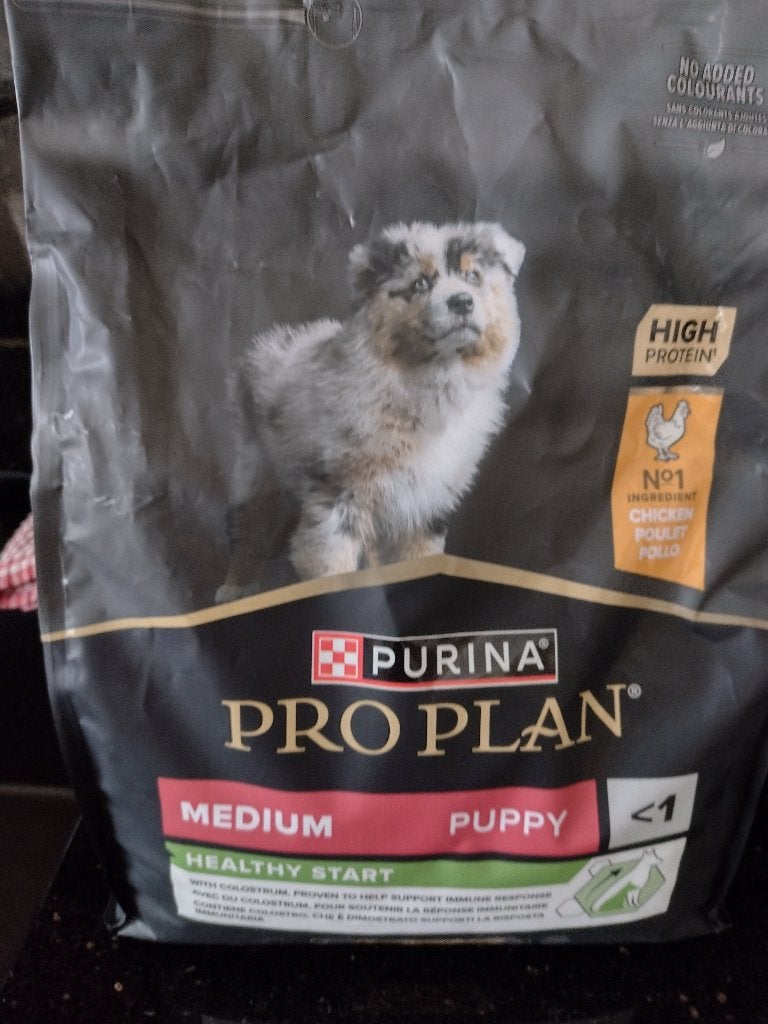 Hondenvoer, Dieren en Toebehoren, Ophalen, Hond