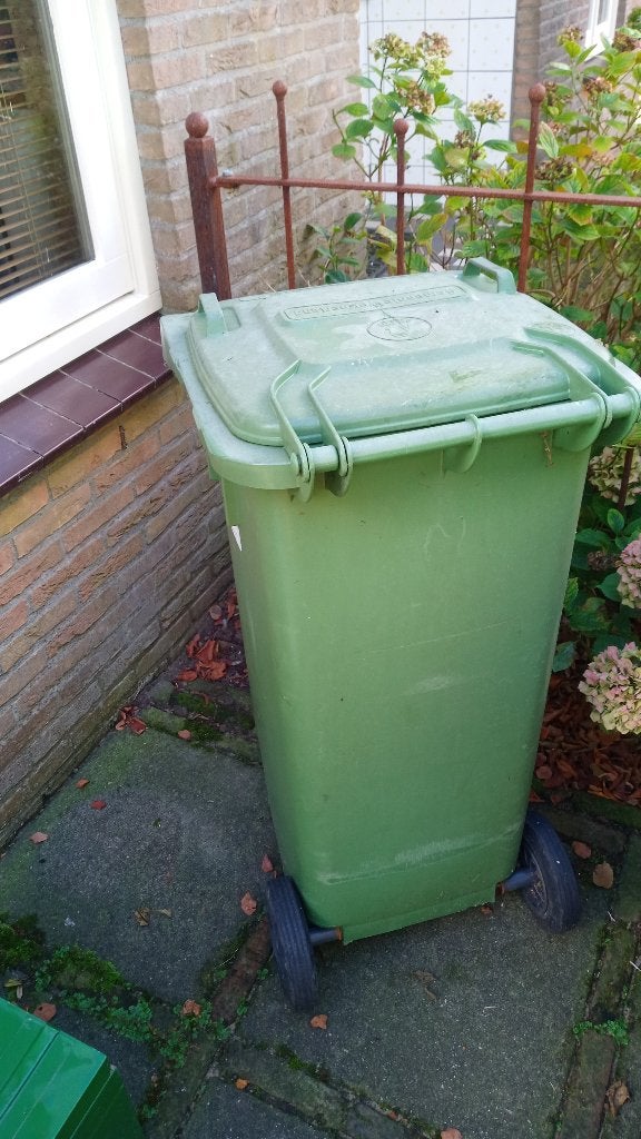 kastanjes gratis af te halen, Tuin en Terras, Volle zon, Lente, 400 cm of meer, Overige soorten