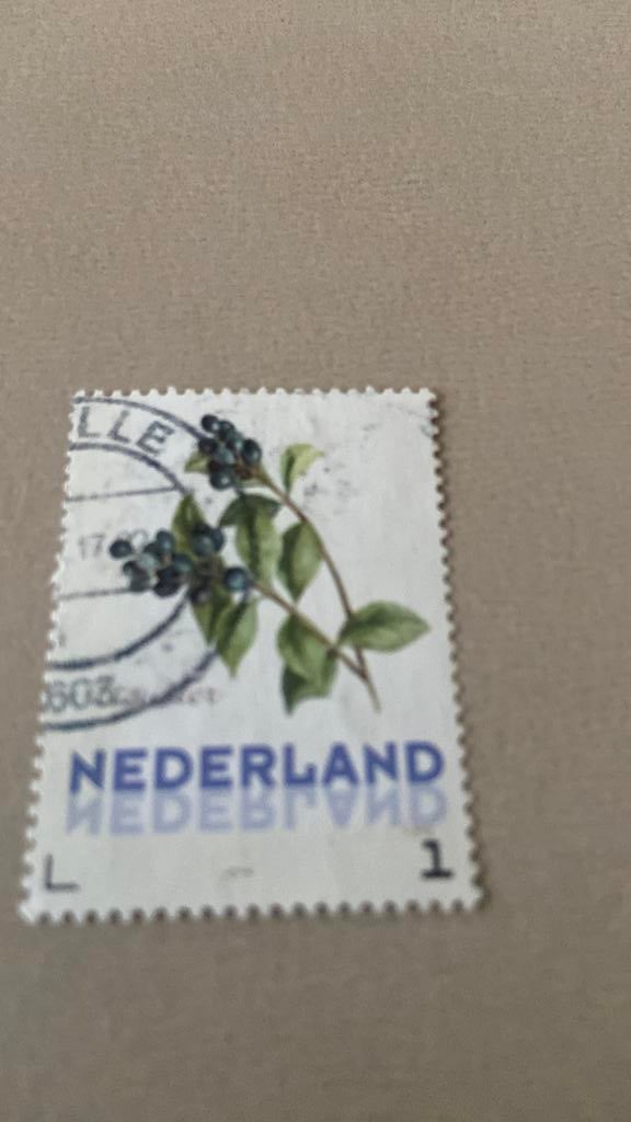 Nederland, Ophalen of Verzenden, Gestempeld