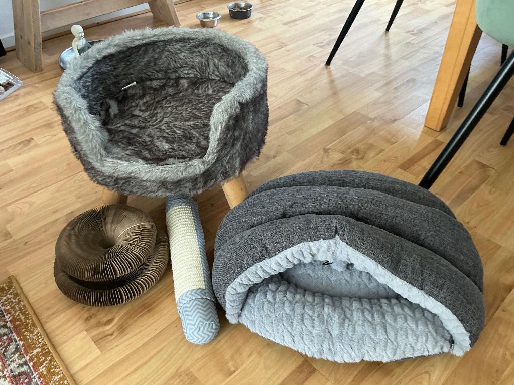 Voor een binnen poes, Dieren en Toebehoren, Ophalen, Zo goed als nieuw
