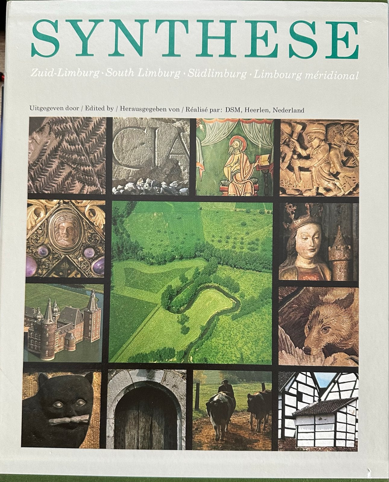 SYNTHESE Zuid-Limburg - Boek over de regio, Ophalen, Zo goed als nieuw, Nederland