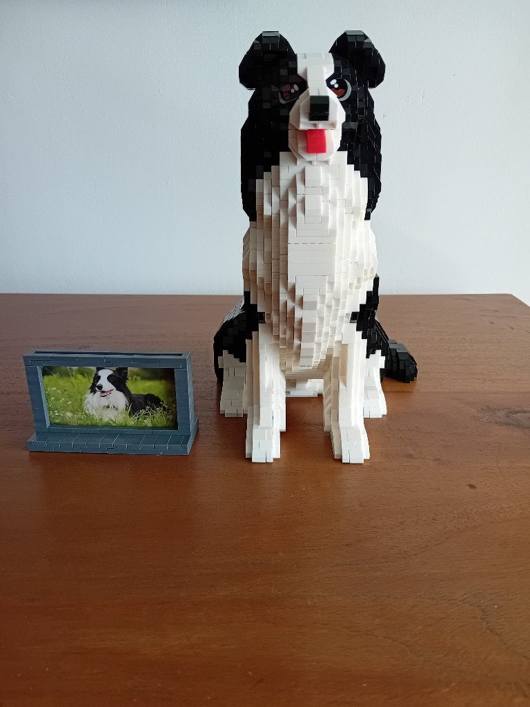 nanoblocks hond, Kinderen en Baby's, Speelgoed | Bouwstenen, Ophalen of Verzenden, Zo goed als nieuw, Overige merken