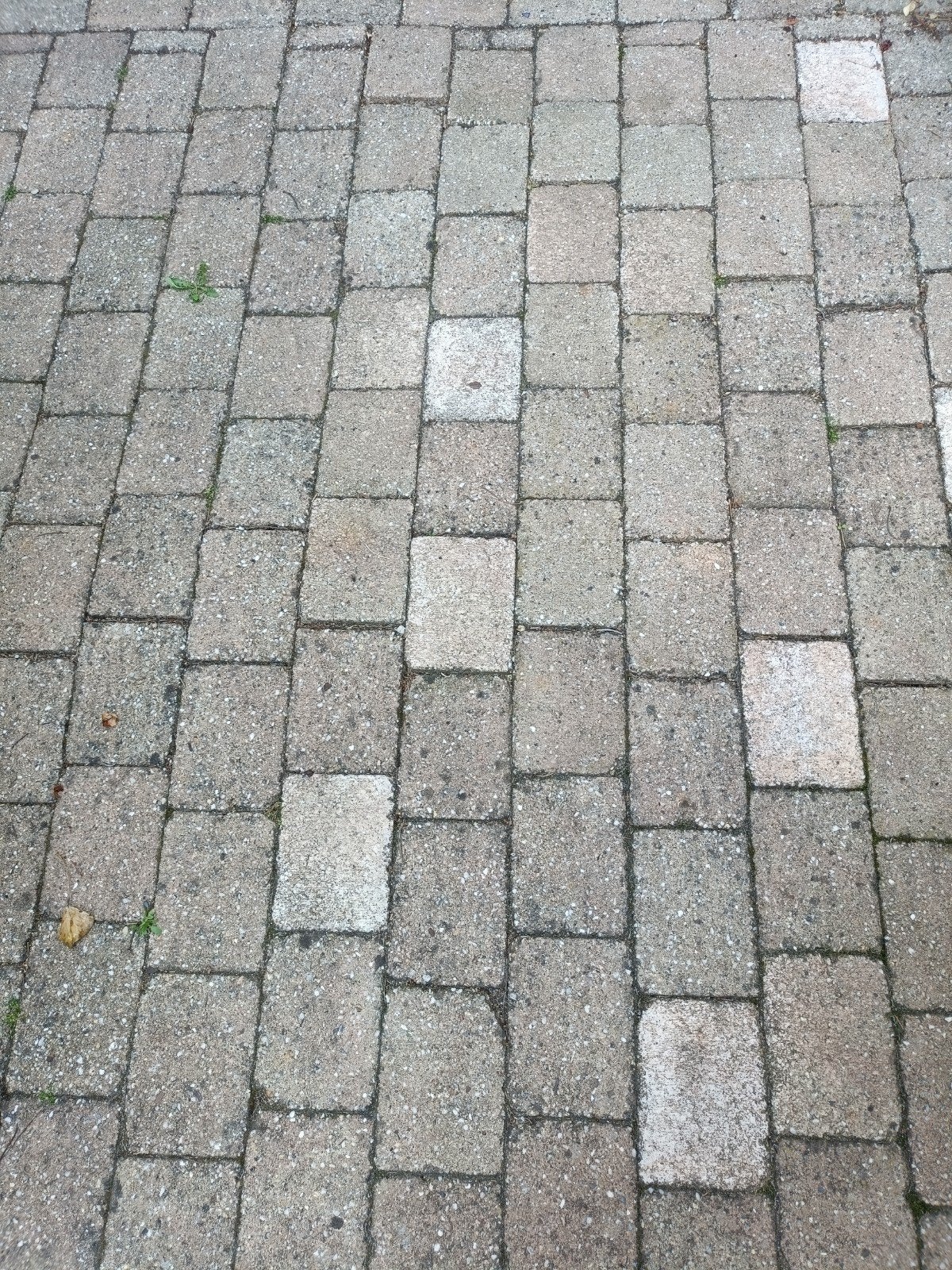 Gratis tegels ivm veranderen terras, Tuin en Terras, Tegels en Klinkers, Ophalen, Gebruikt, Beton, Klinkers