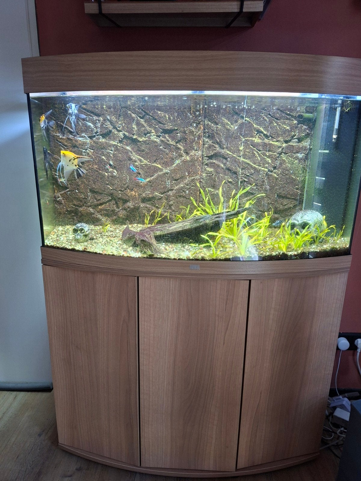 Juwel 180 vision, Ophalen of Verzenden, Gebruikt, Gevuld zoetwateraquarium
