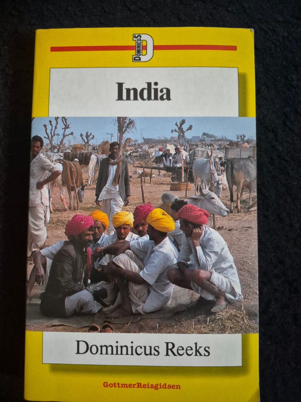 Dominicus Reeks India Reisgids - Gottmer Reisgidsen, Boeken, Reisgidsen, Dominicus Reeks, Ophalen of Verzenden, Reisgids of -boek