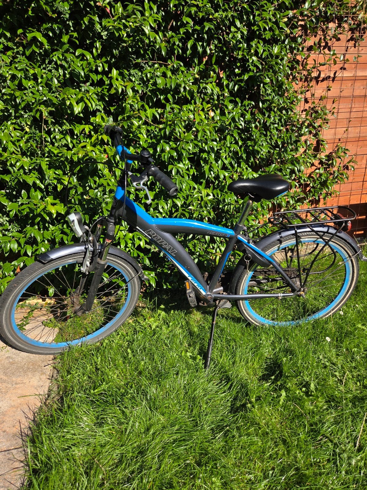Popal Daily Dutch Basic fiets met Nexus-3 versnellingen
