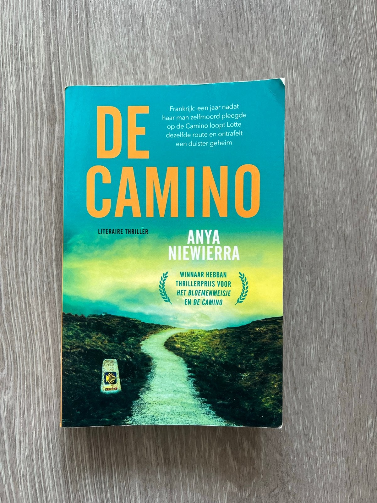 De Camino - Anya Niewierra (Literaire thriller), Boeken, Ophalen of Verzenden, Gelezen