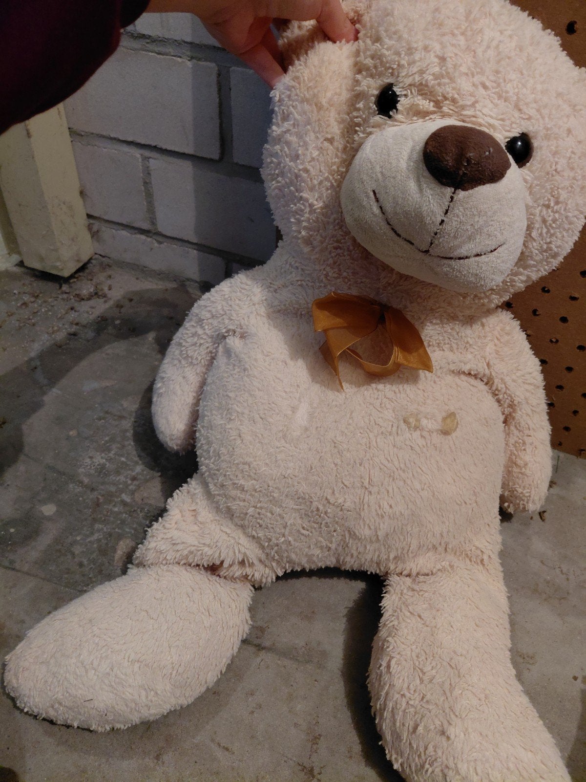 Grote knuffelbeer - Crèmekleurig, Ophalen, Gebruikt, Beer, Middelgroot (20 tot 80 cm)