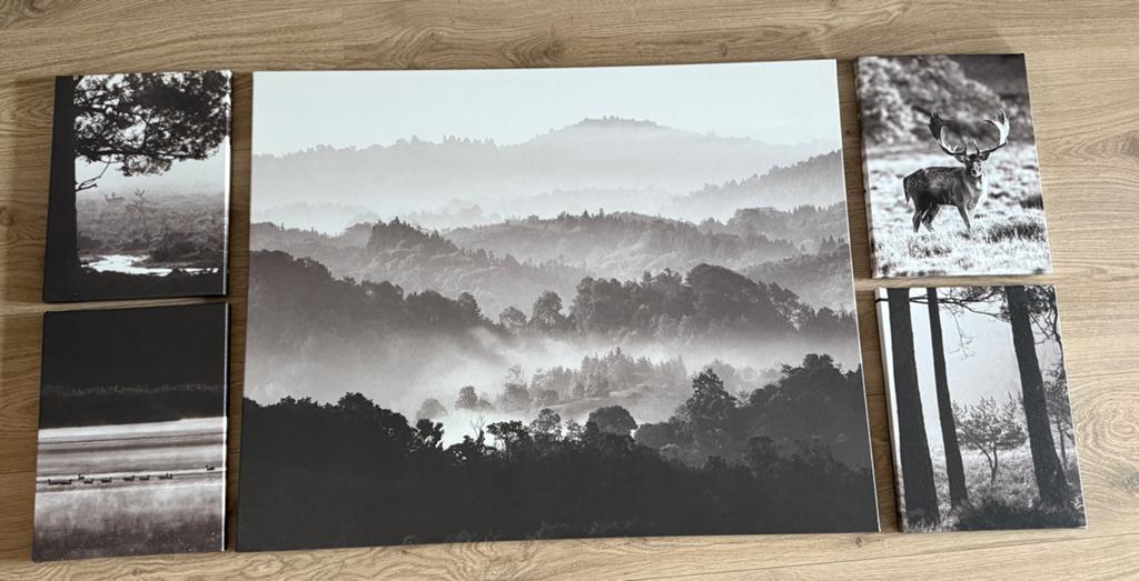 Grote canvas - set van 5 - izgst, Ophalen, Zo goed als nieuw, Schilderij, 75 cm of meer
