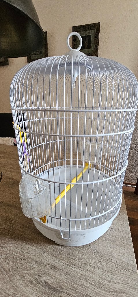 Te Koop, witte vogelkooi, Dieren en Toebehoren, Ophalen, Gebruikt, Metaal, Vogelkooi
