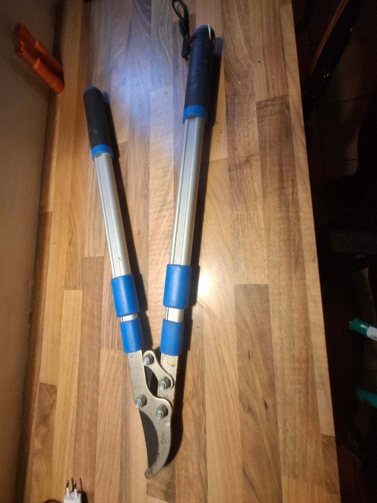 Takkenschaar / Snoeischaar met lange steel, Tuin en Terras, Ophalen of Verzenden, Gebruikt, 30 t/m 39 mm, Onbekend