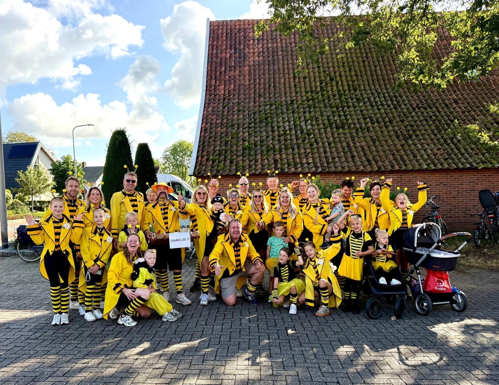 Grote loopgroep bijenpakken, Kleding | Dames, Carnavalskleding en Feestkleding, Ophalen, Carnaval, Zo goed als nieuw, Kleding