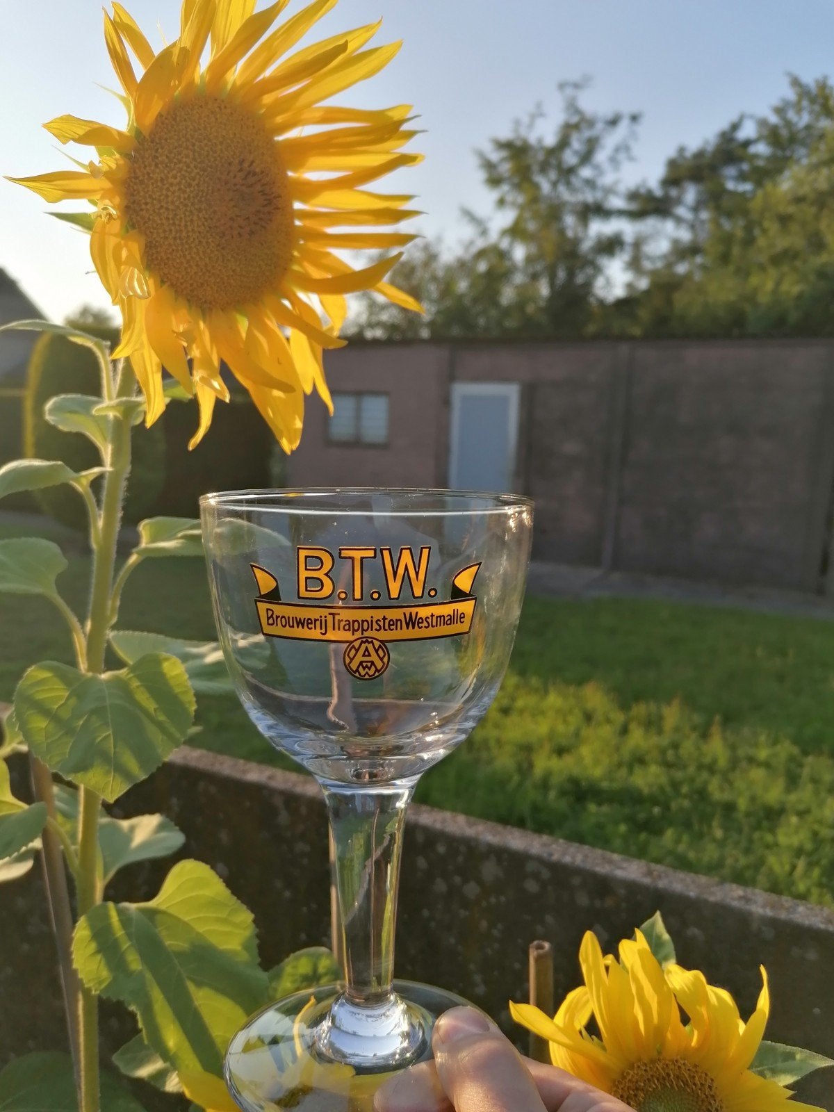 Mooi "BTW" bierglas Westmalle Trappist., Verzamelen, Biermerken, Ophalen of Verzenden, Glas of Glazen, Overige merken