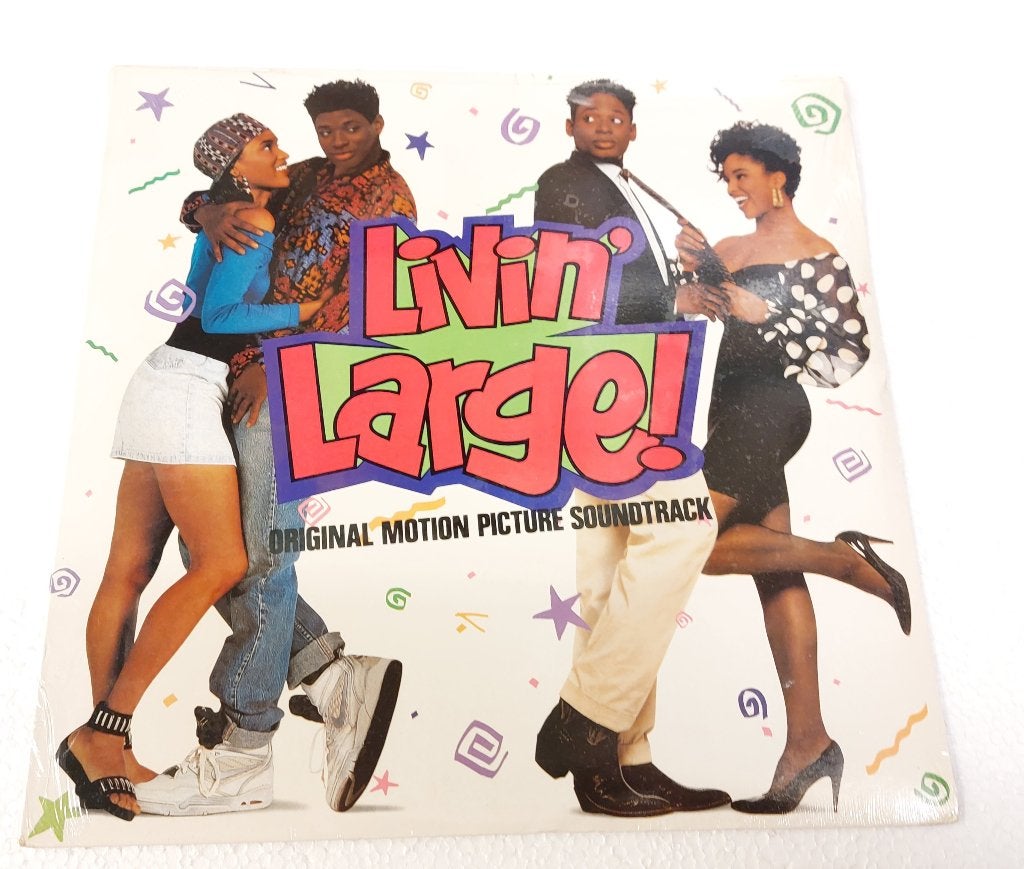 Livin' Large VINYL LP Def Jam Hiphop 1991 GESEALED !, LP, Geseald, Ophalen of Verzenden, 12 inch
